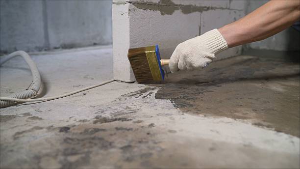 SJ Waterproofing Pros Emergency Waterproofing coverage map for Morton, IL and surrounding area